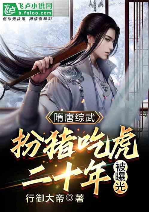 疯狂的小偷
