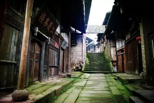 春节前夕,酒市热度、酒商态度如何?五大核心市场调研来了